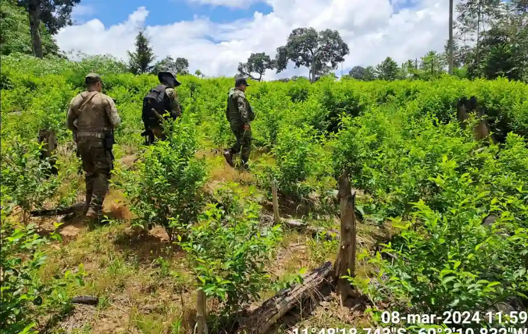 Madre de Dios: Destruyen dos laboratorios para elaboración de cocaína en Tahuamanu