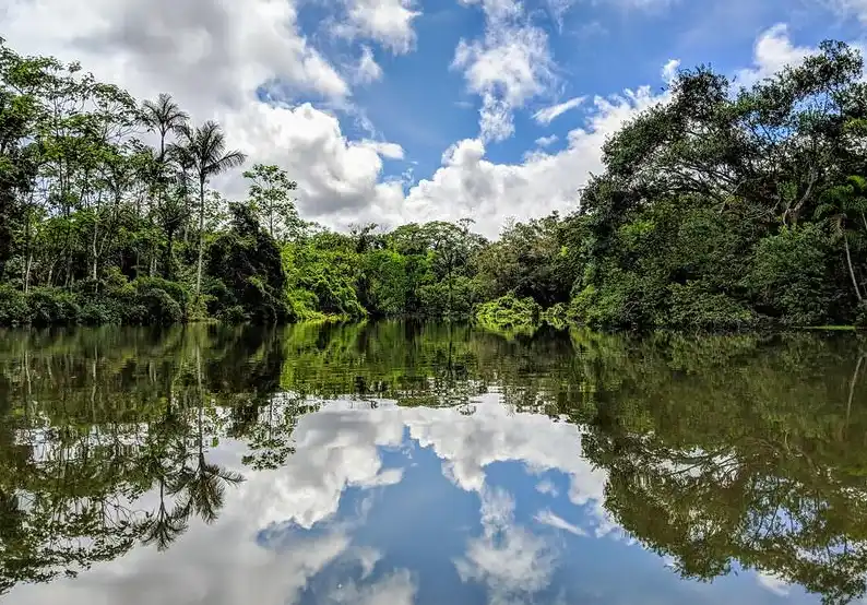 Organizan actividades para concientizar sobre el buen uso del agua