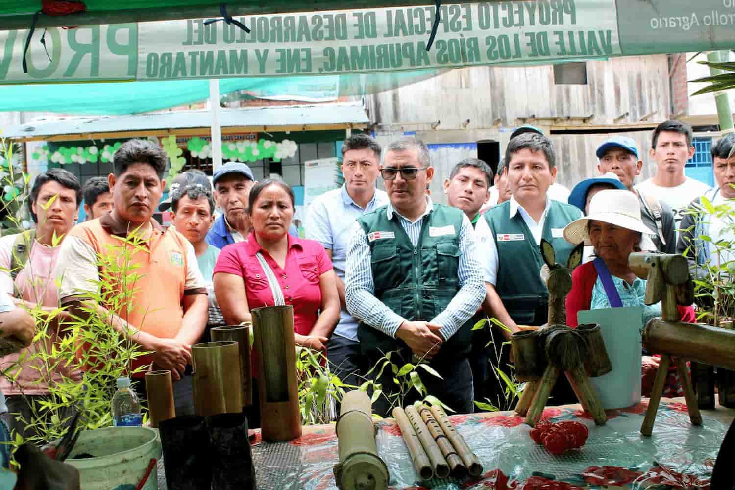 Distribuyen más de 14 mil plantones de bambú en distritos del Vraem