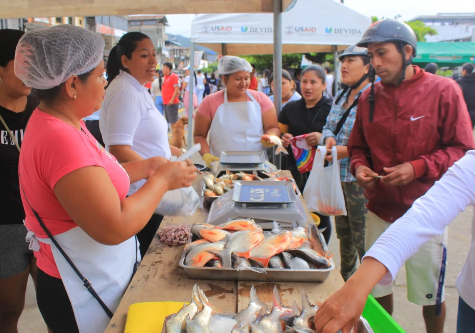 HUANUCO--50-piscicultores-ofertaran-pescado-por-semana-santa-III.webp