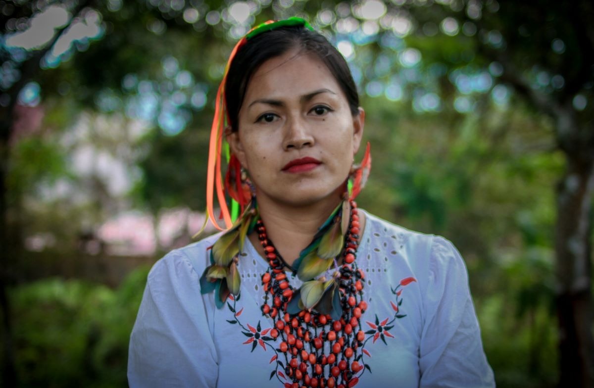 Café y cacao en incertidumbre: ¿Qué salidas tienen los productores ante las medidas contra la deforestación? Ley Forestal