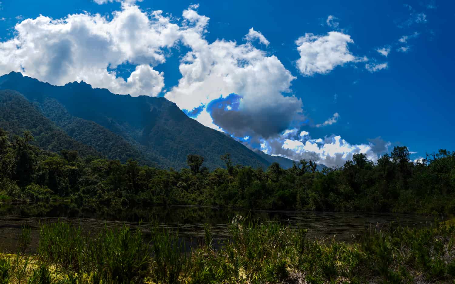 Oxapampa: Parque Nacional Yanachaga Chemillén es el principal proveedor de agua