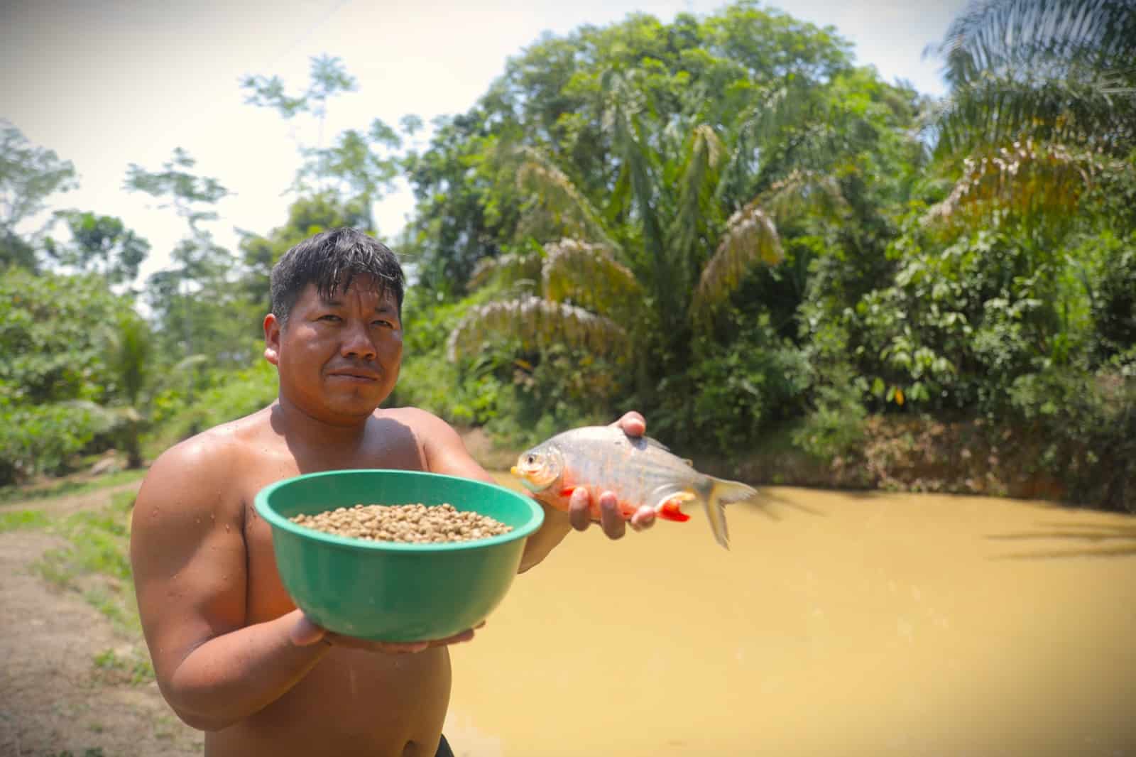 Vraem: Optimizan cadena de valor de trucha en Junín