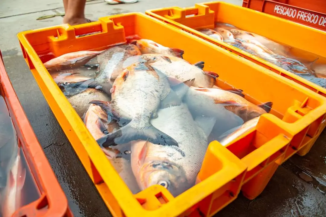 Vraem: Emprendedores comercializaron S/ 56 mil en Semana Santa