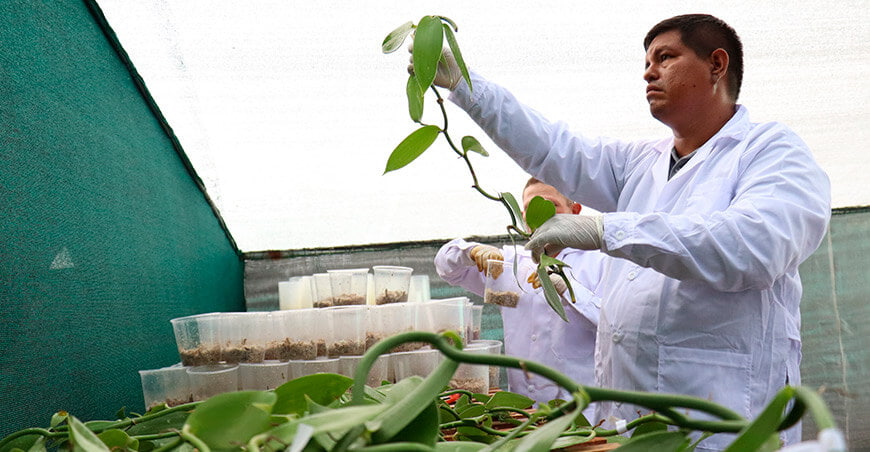 Implementan proyecto para mejorar ingresos de agricultores a través de la investigación