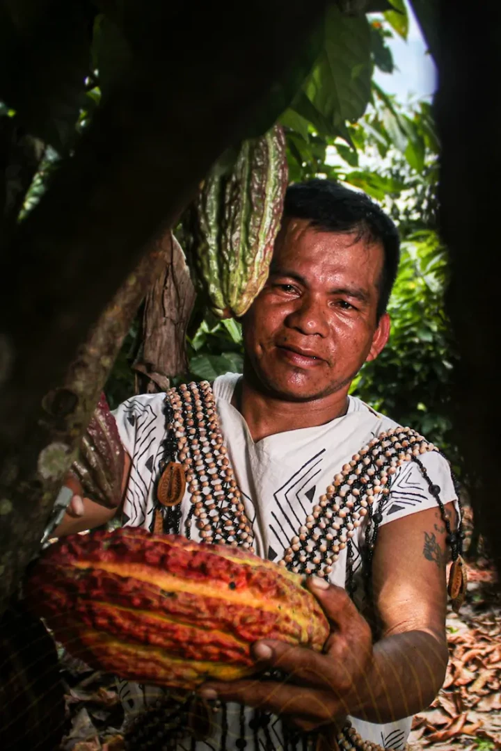 Ucayali: Comunidad nativa obtiene S/159 mil para mejorar producción de cacao