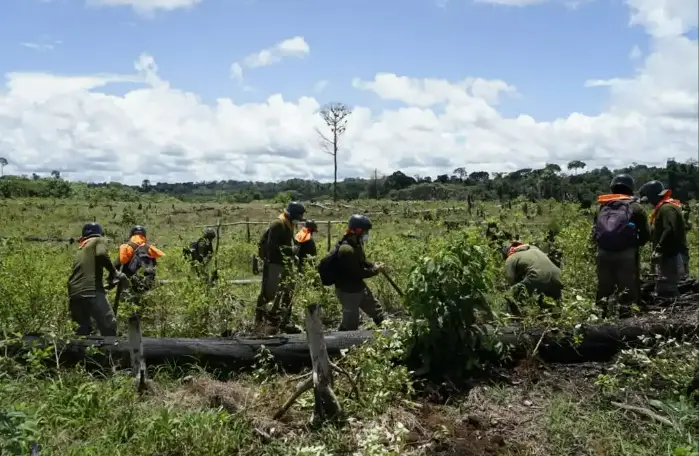 Erradican más de 2700 hectáreas de cultivos ilegales de hoja de coca