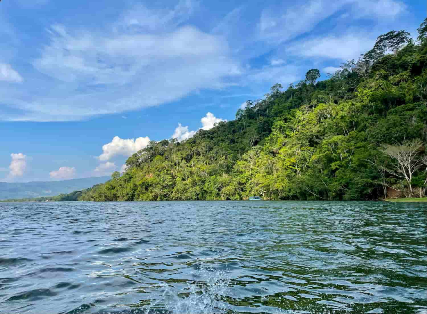 San Martín: Celebran el Día del Lago Sauce, tesoro natural de la Amazonía peruana