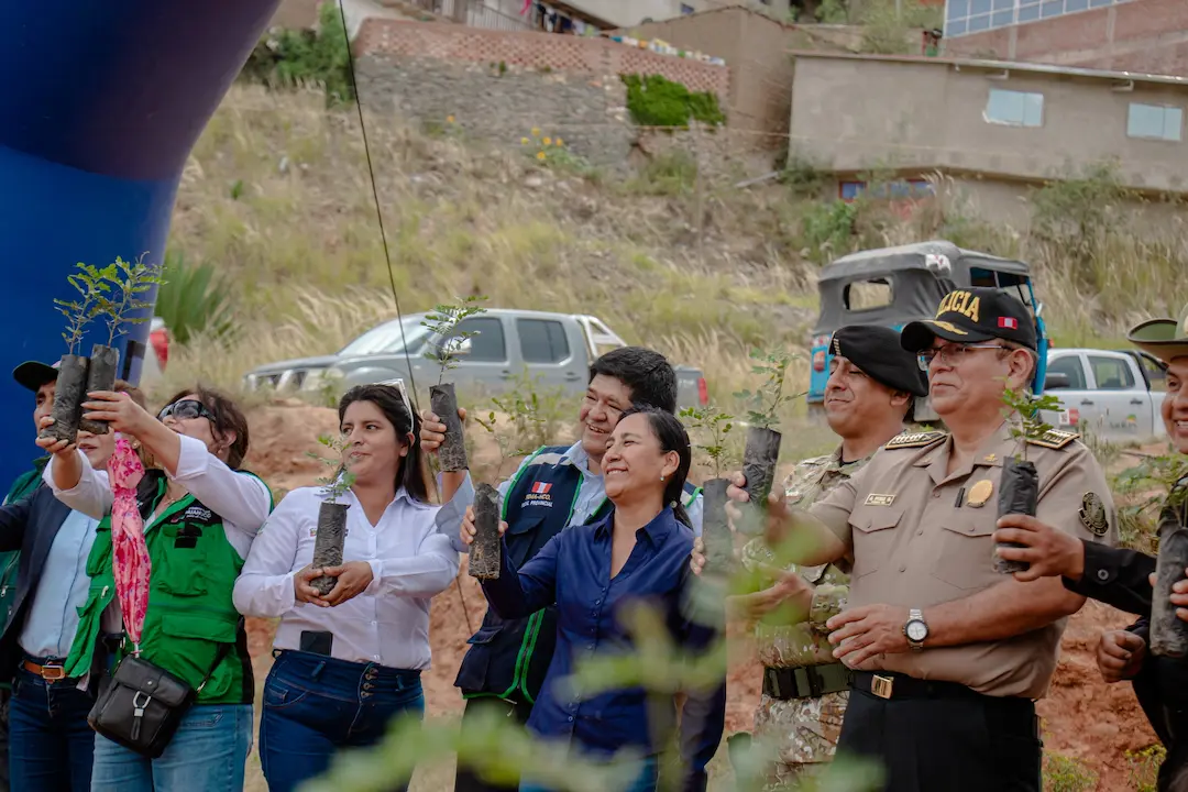 Programa de reforestación en Huánuco: Una casita, un árbol