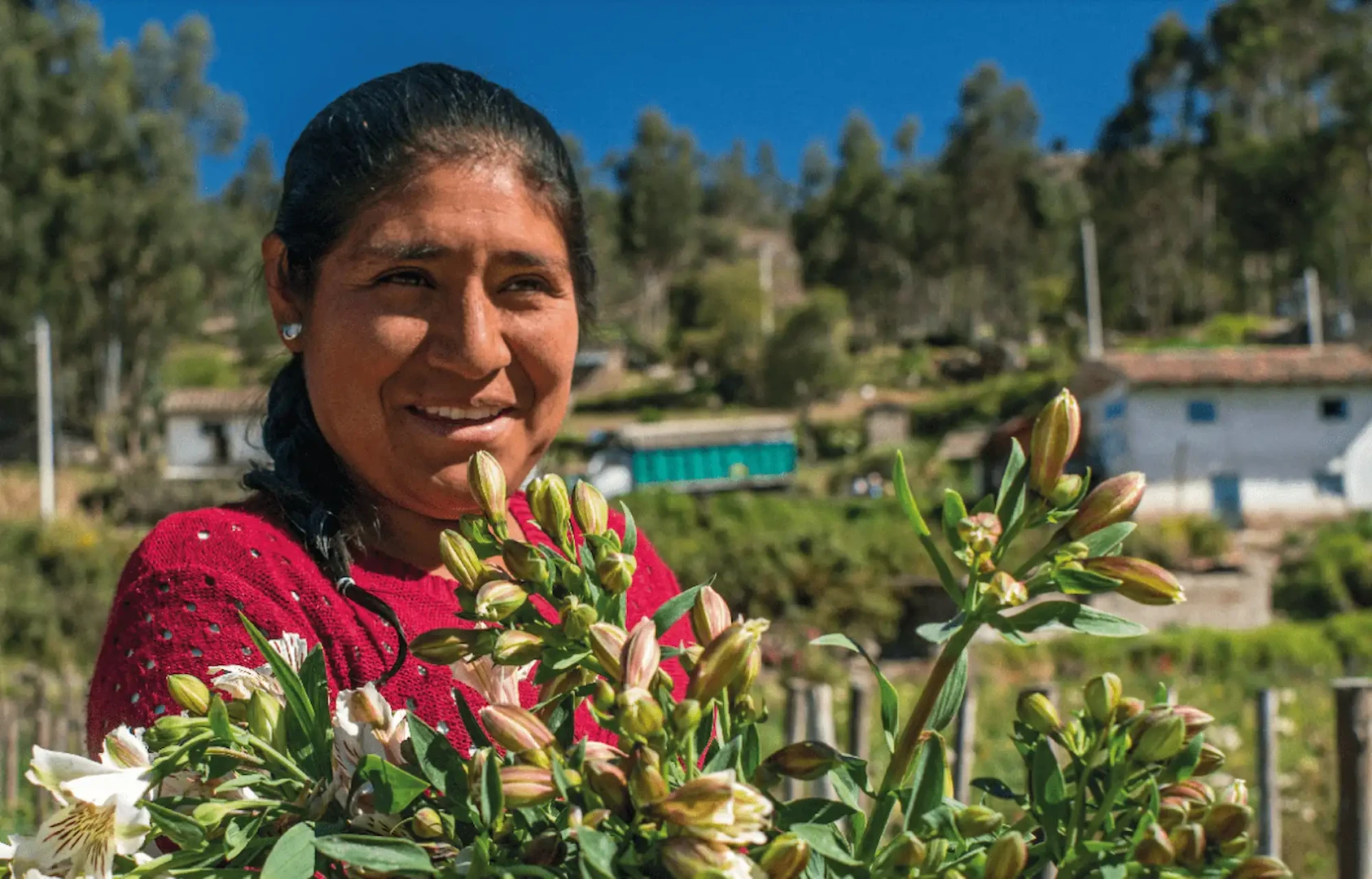Profonanpe-Emprededores-por-Naturaleza