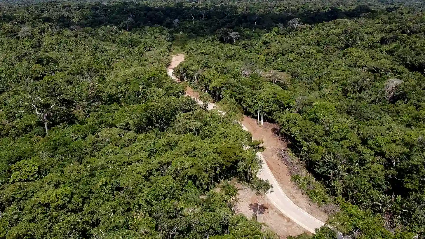 La bioeconomía no salvará al Amazonas