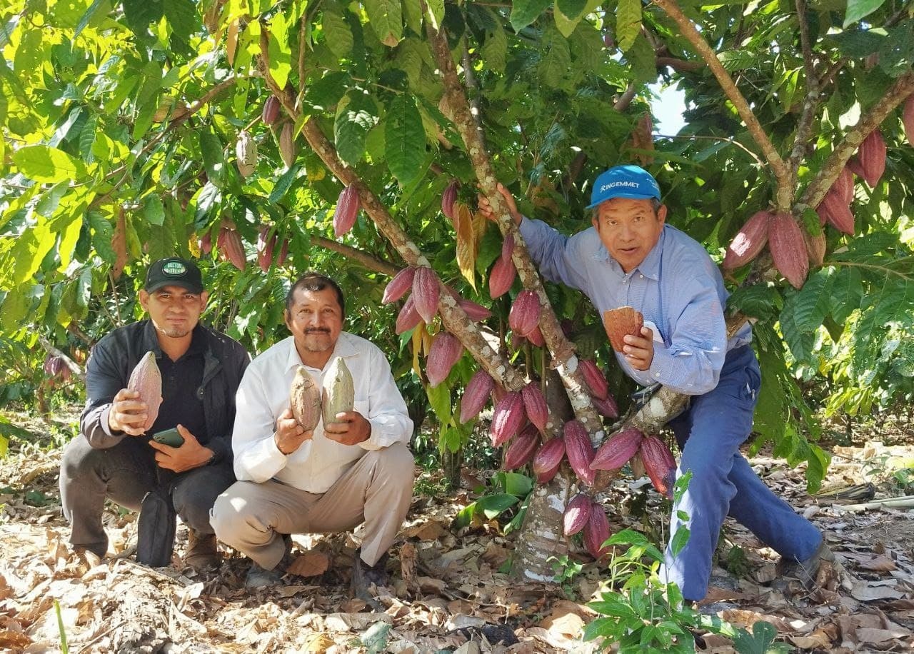 La COOPAFSAMAD cuenta con más de 300 concesionarios y agricultores de las provincias de Tambopata, Manú y Tahuamanu.