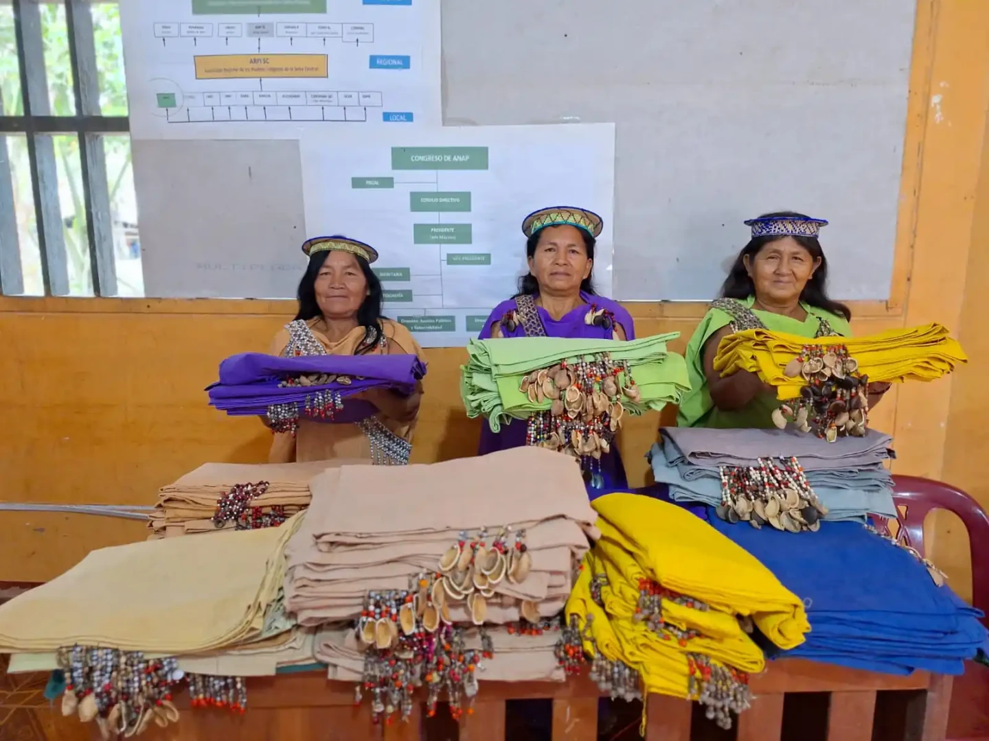 ANAP prepara actividades culturales por visita de embajadora de Alemania