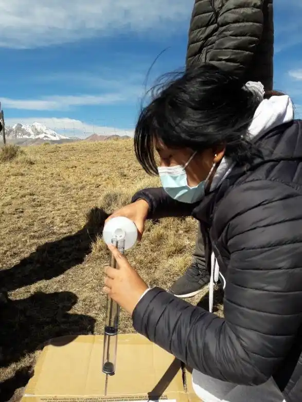 Bofedales altoandinos podrían mitigar escasez de agua durante la sequía