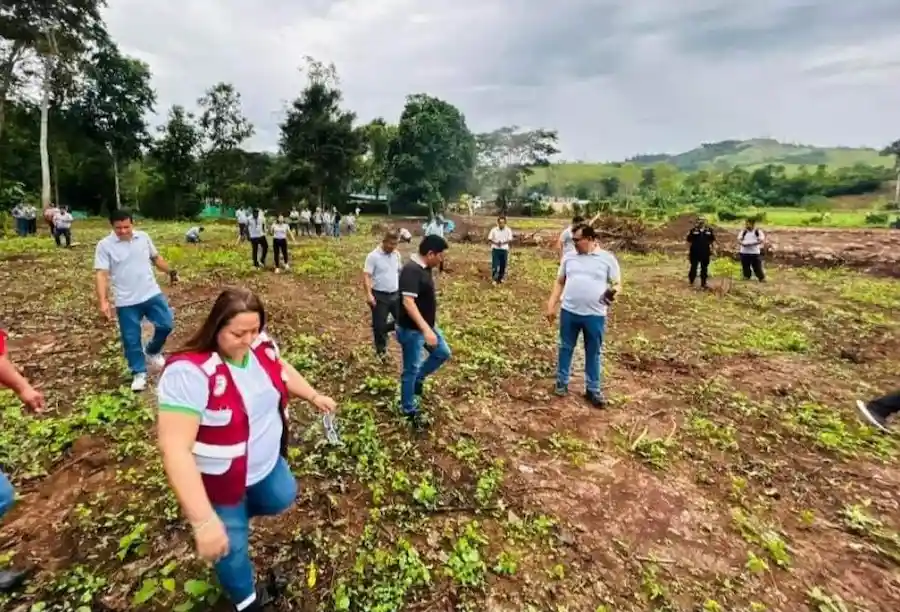 Dan inicio a la “Gran Cruzada Verde” en la región San Martín