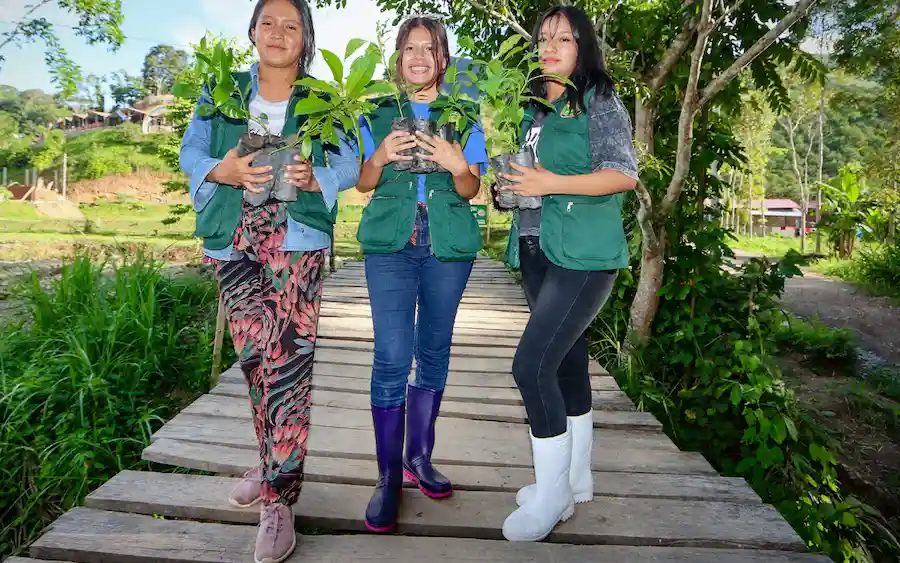 Junín: Realizan jornada de reforestación en la Reserva de Biosfera Avireri Vraem