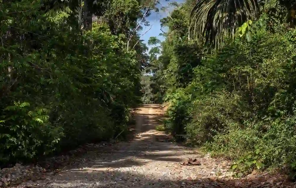 Madre de Dios: Proyecto de hidrocarburos afectaría a comunidades nativas