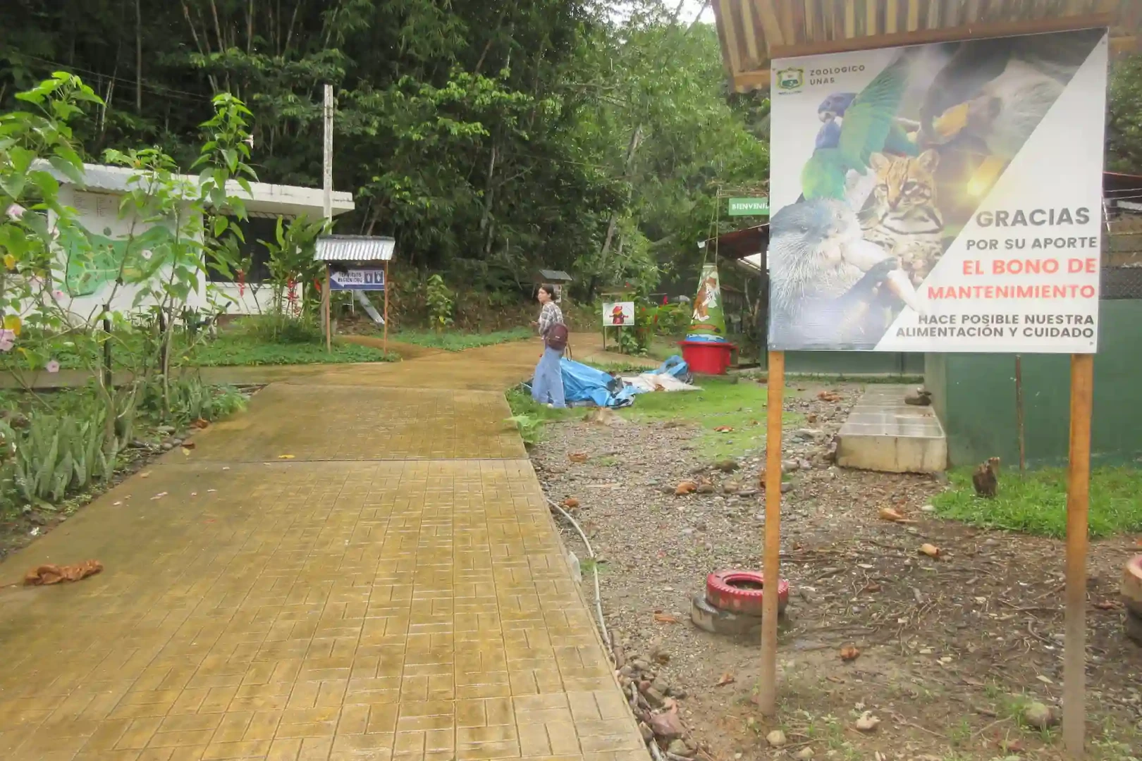 Zoológico de la UNAS: Un espacio de vida silvestre en Tingo María