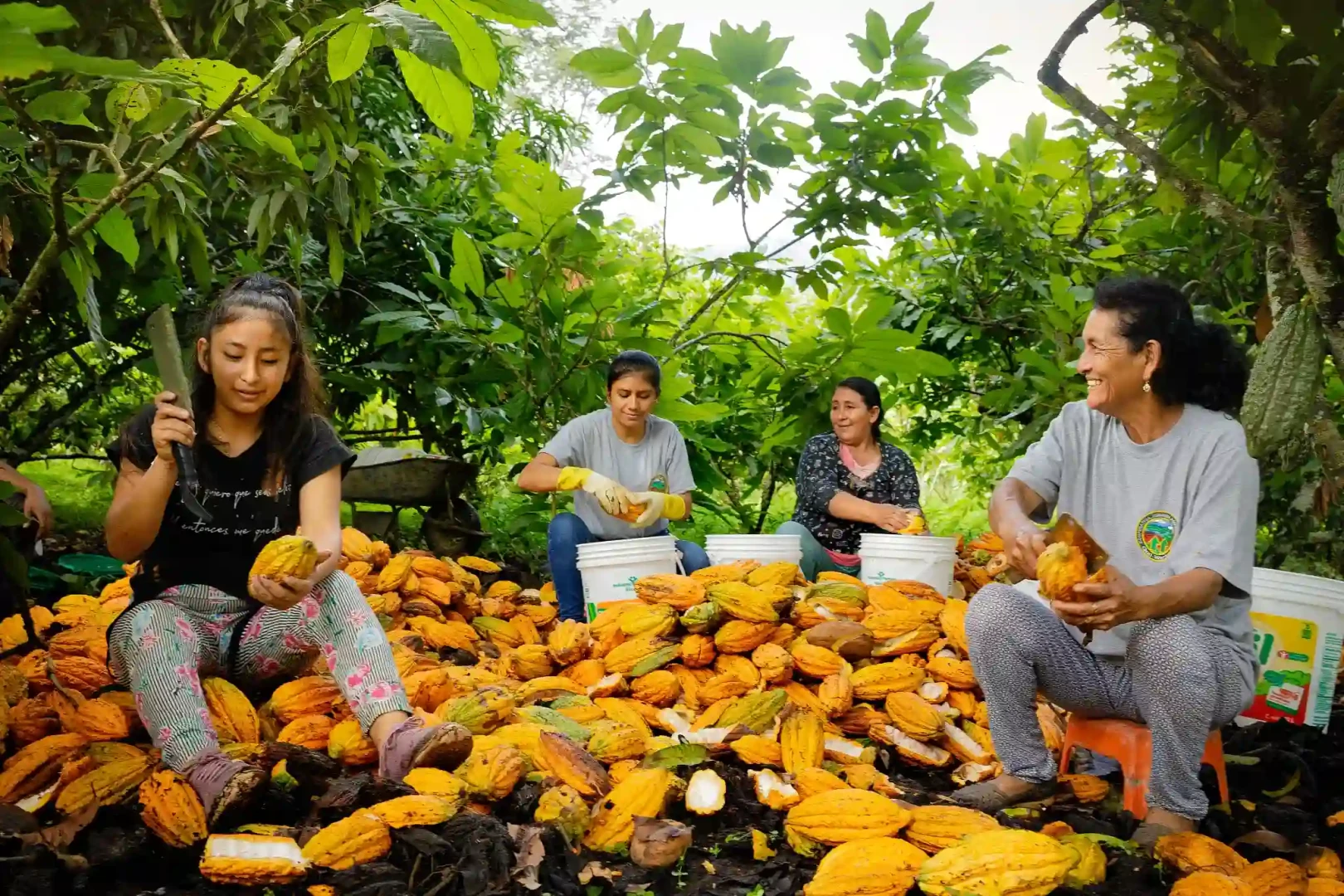 Qori Warmi: La cooperativa que empodera a mujeres cacaoteras en el Vraem