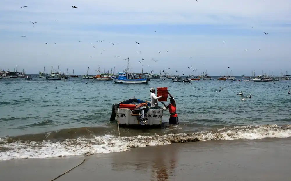 Saludan la creación de la Reserva Nacional Mar Tropical de Grau