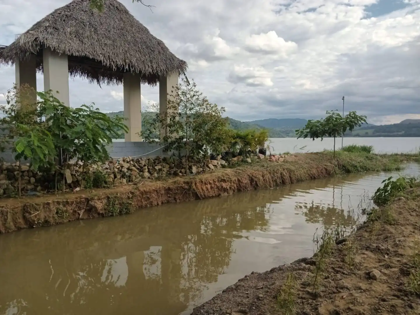 Lago Sauce: Tesoro natural es amenazado por la degradación ambiental