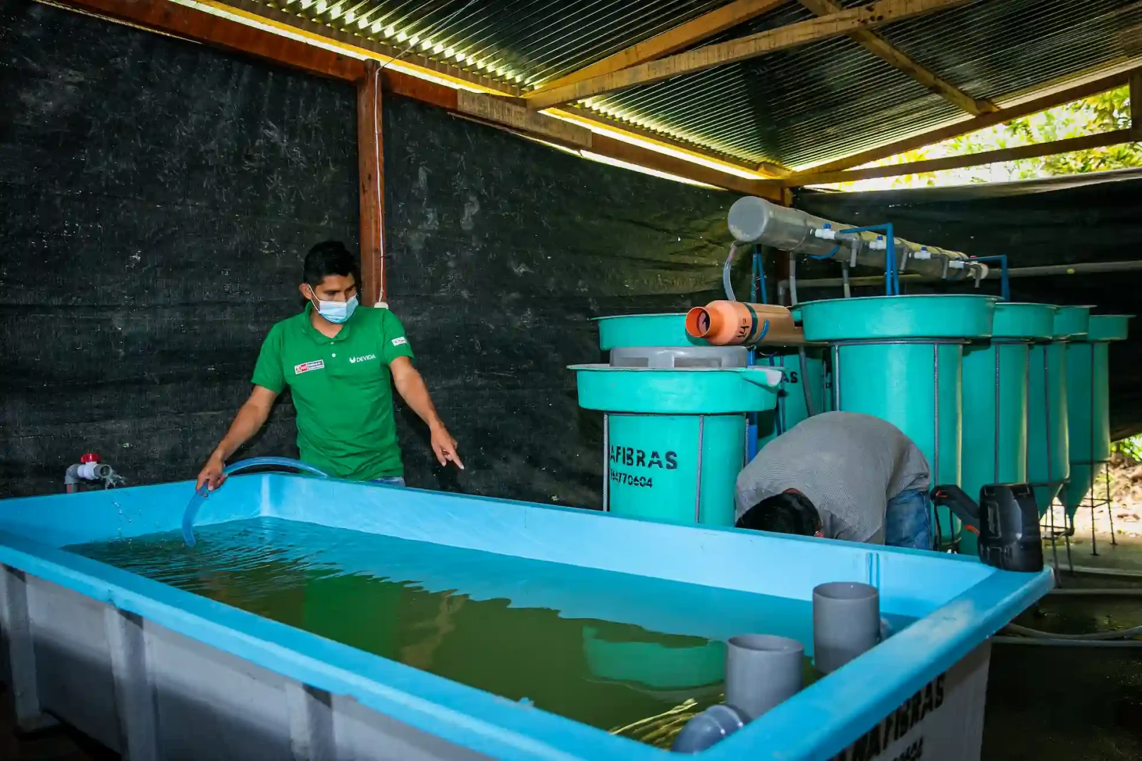 Producción acuícola como motor de desarrollo alternativo en el Vraem