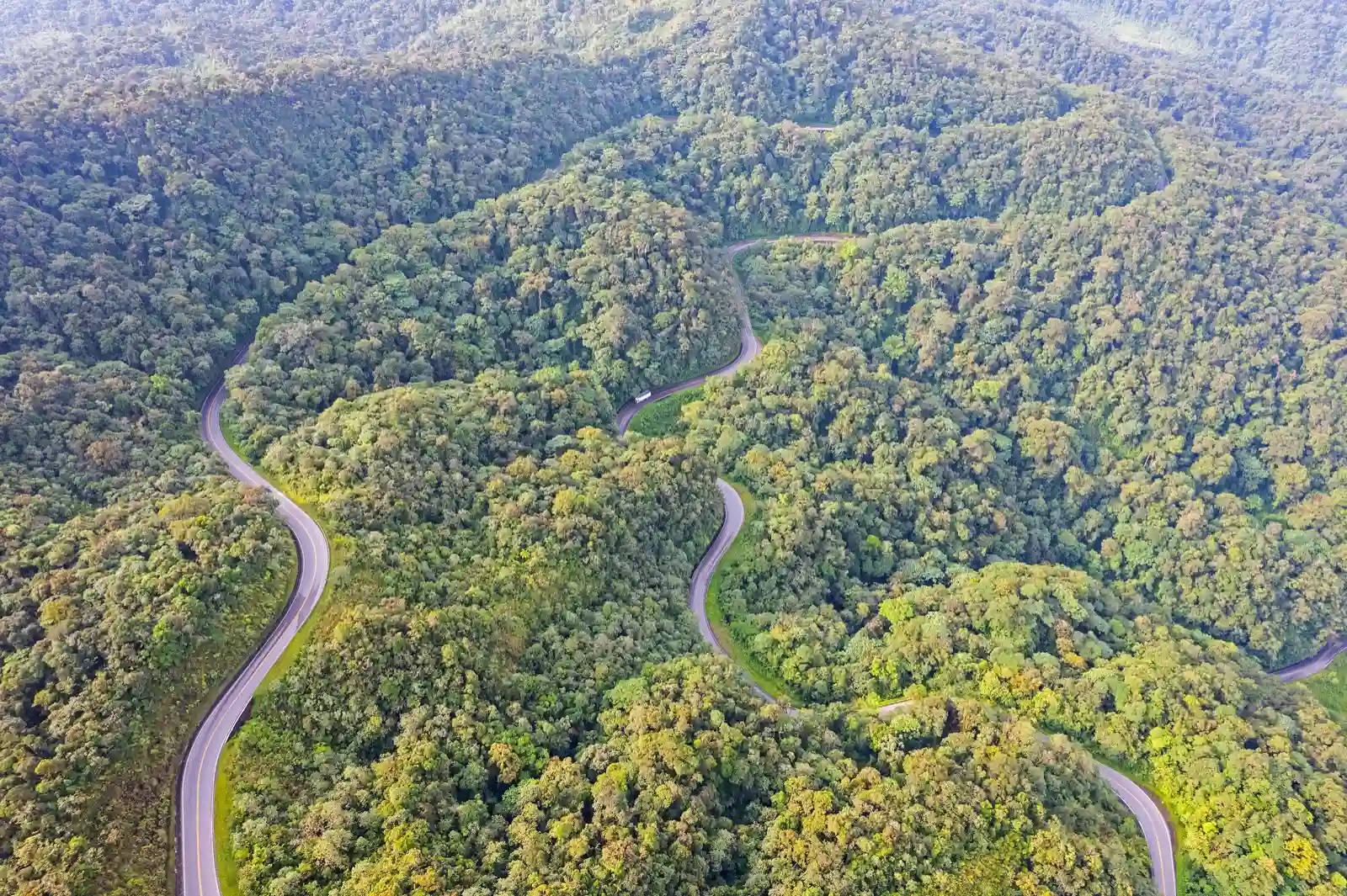 Sarita Cuipal, defensora de los bosques del Alto Mayo