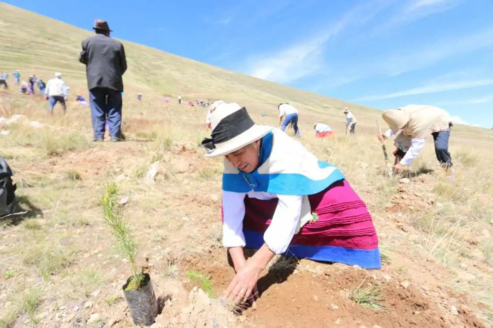 Junín: Conforman grupo técnico para actualizar estrategia de cambio climático