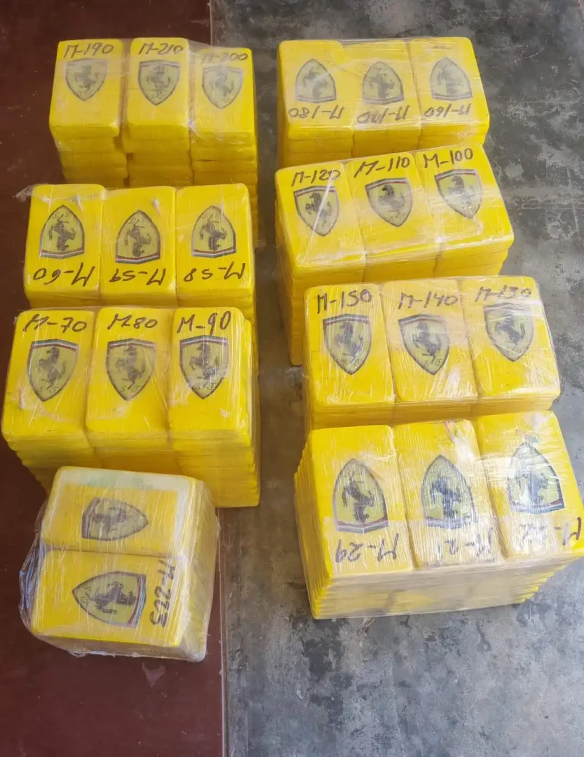 Pangoa: Encuentran cocaína en chasis de camioneta