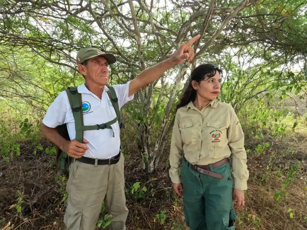 Lorena Ladines, una madre que protege los manglares de Tumbes