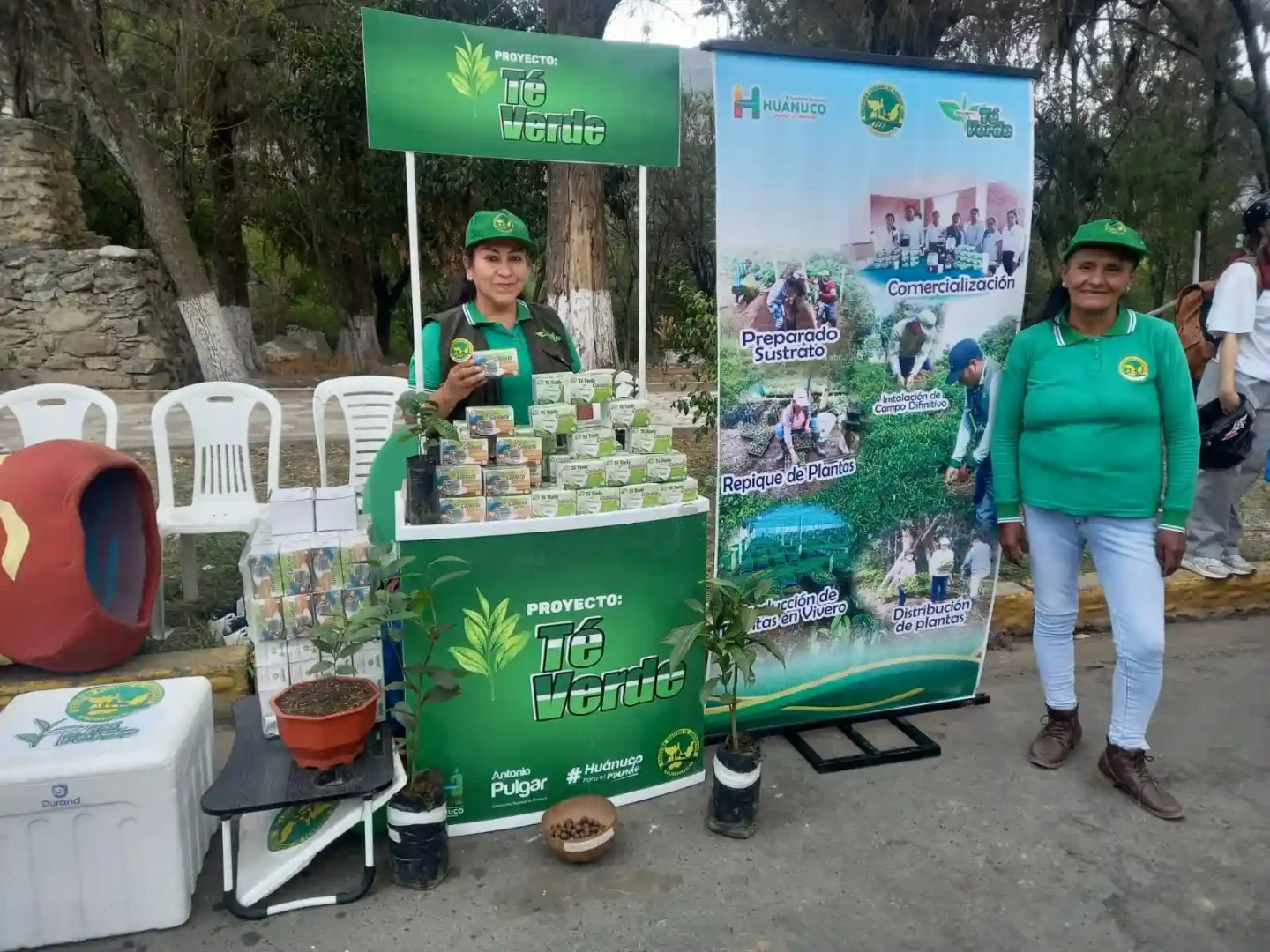 Hilda García: Una líder que impulsa el té verde y chupetes medicinales en Huánuco