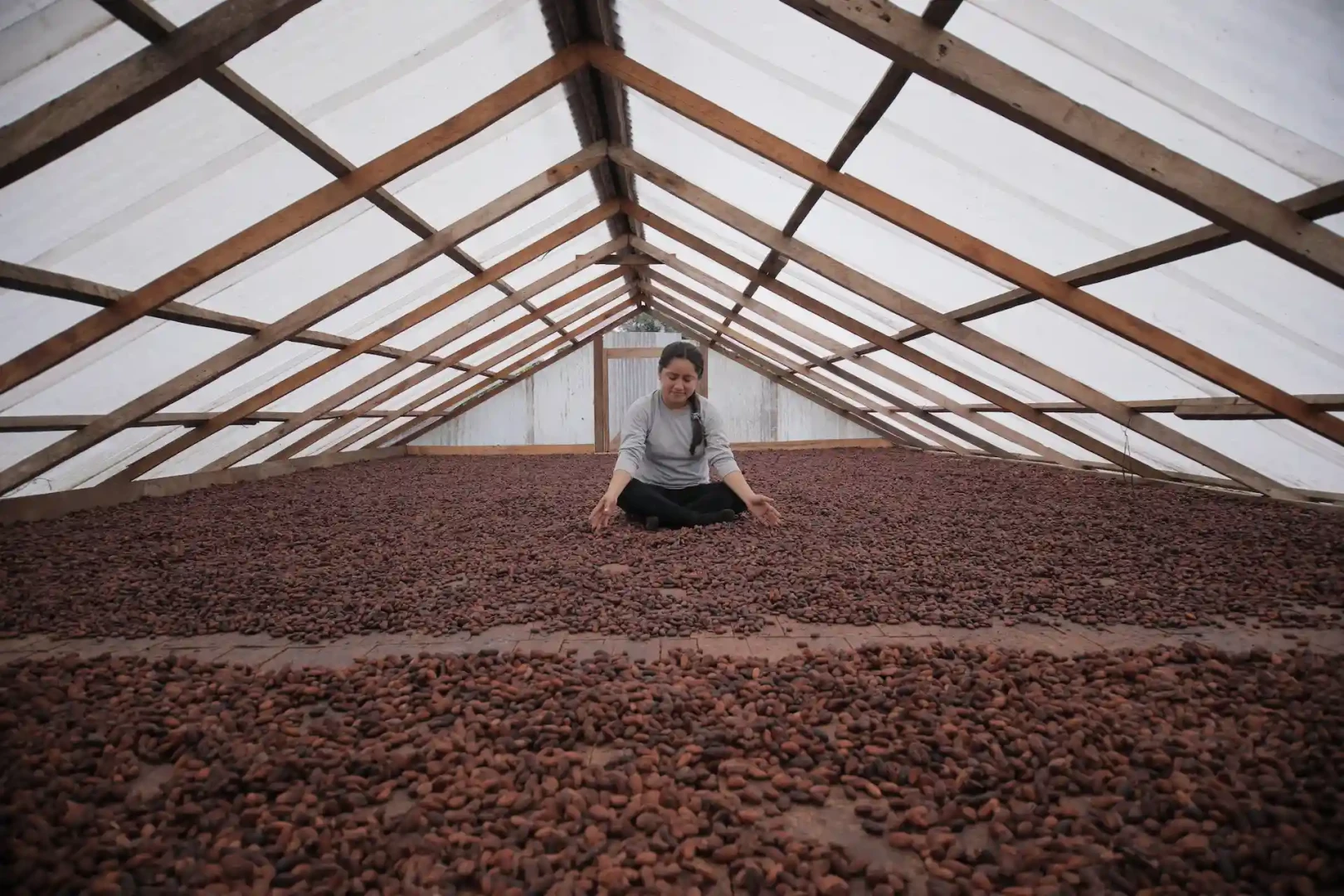 “Nuestra meta es llegar a diciembre con todos los productores de café y cacao georreferenciados”