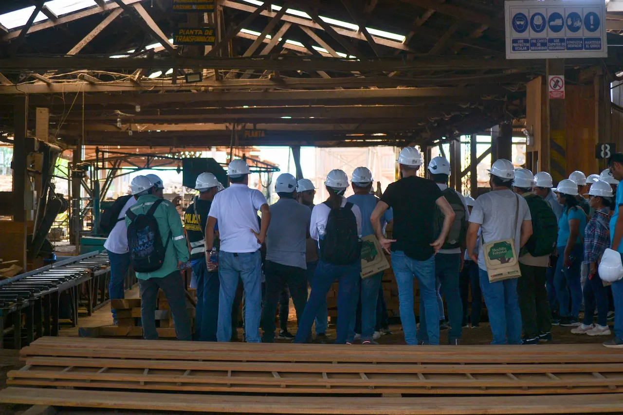 Capacitan en el uso de herramientas tecnológicas para enfrentar la tala ilegal