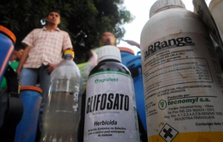 Productores agrarios rechazan propuesta del Midagri que permitiría la siembra de maíz y algodón transgénicos