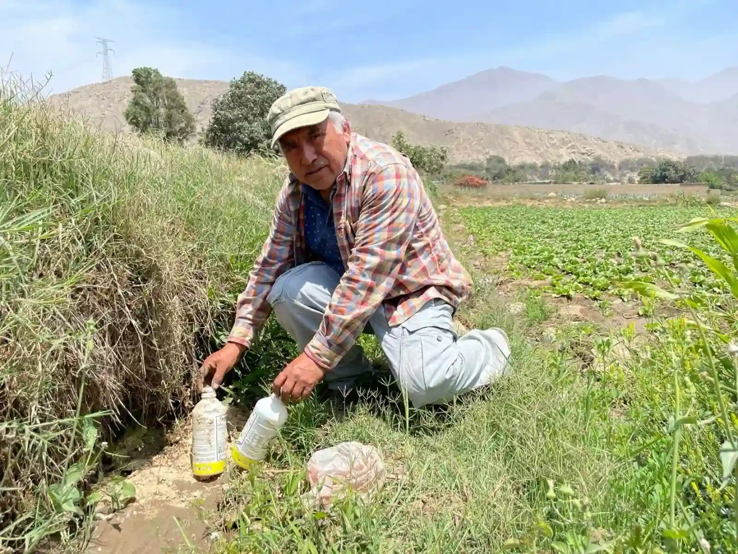 Productores agrarios rechazan propuesta del Midagri que permitiría la siembra de maíz y algodón transgénicos