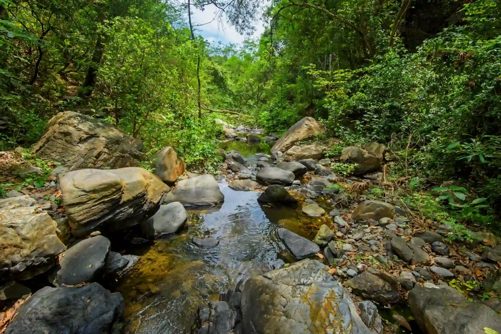 Enrique Atoche, guardaparque del Parque Nacional Cerros de Amotape y un soldado de la conservación