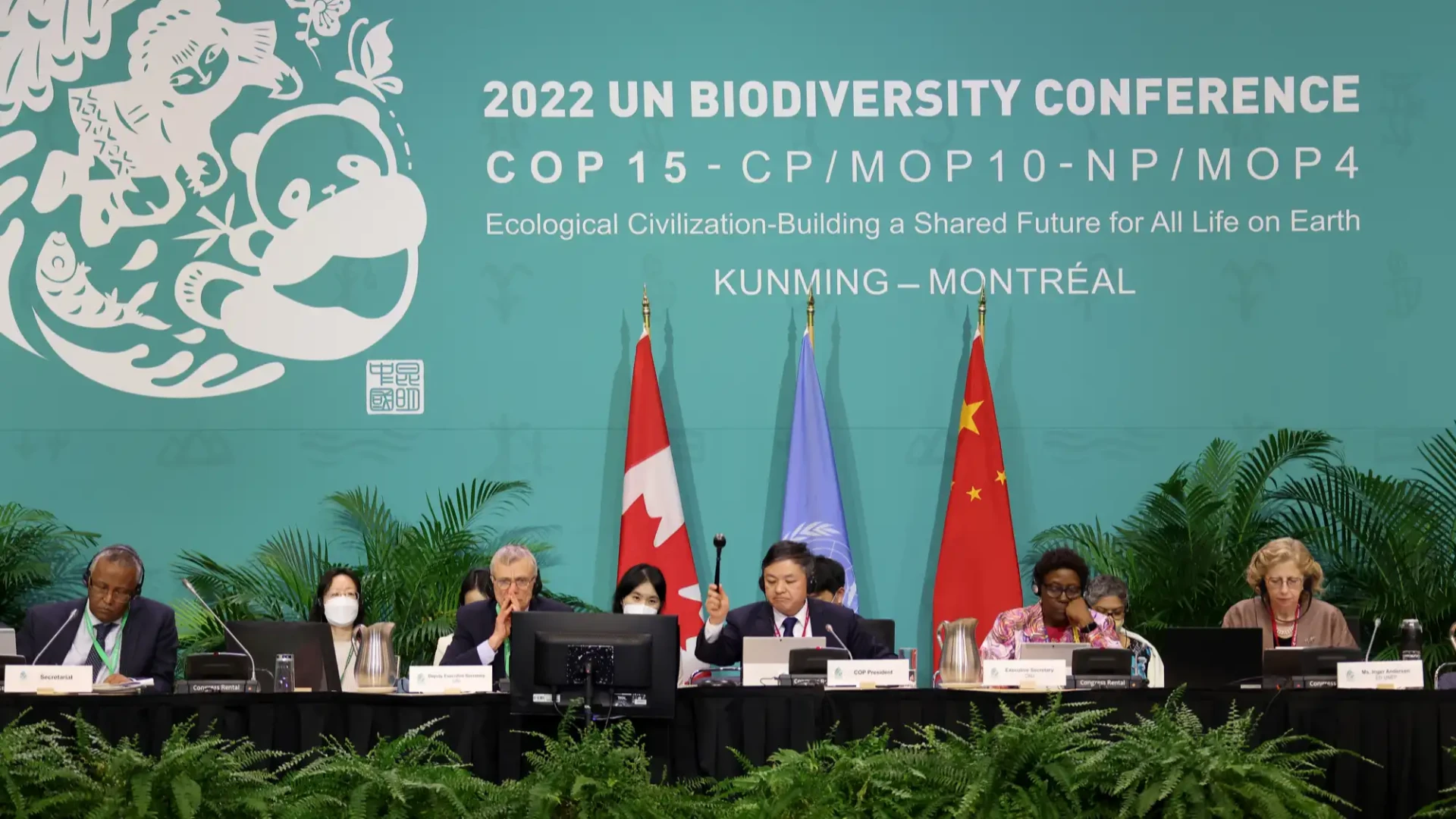 X-China-lanza-Fondo-de-Biodiversidad-para-apoyar-a-paises-en-desarrollo-I.webp
