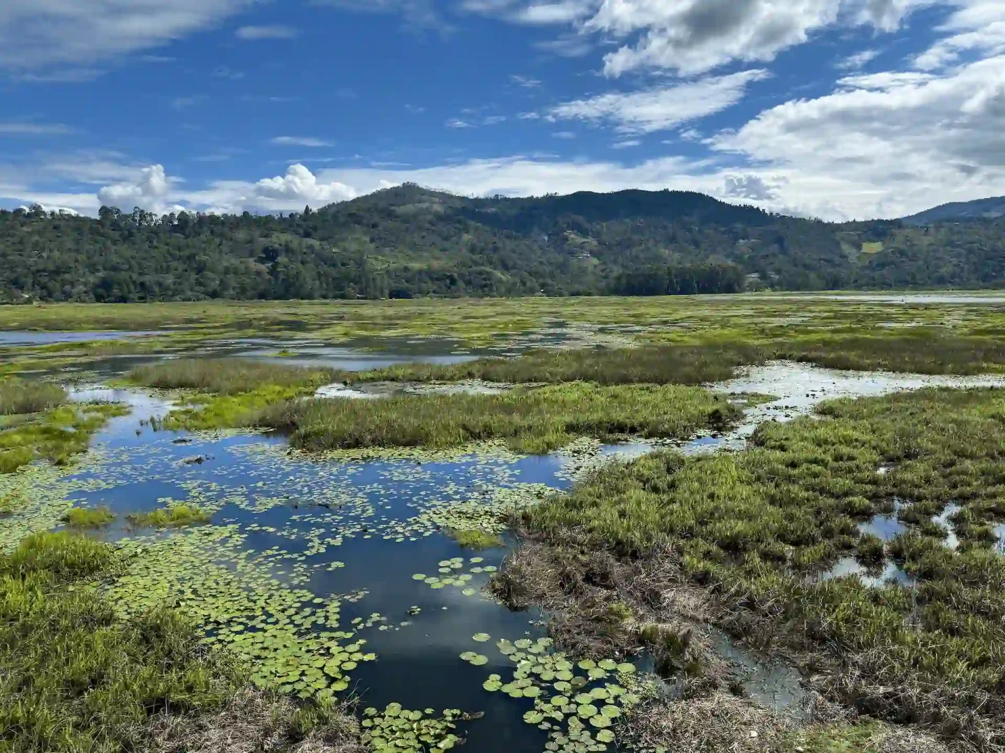 Conoce siete iniciativas que ponen freno a las tierras degradadas, a la desertificación y a la sequía