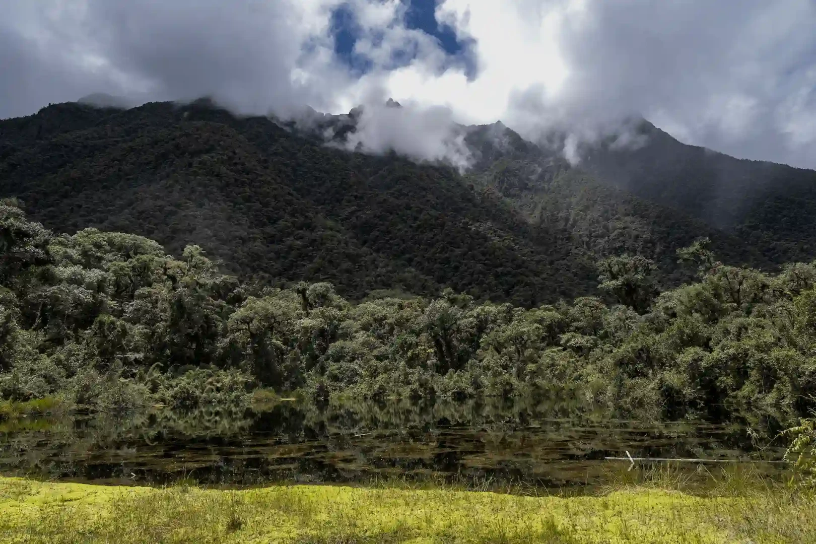 Conoce siete iniciativas que ponen freno a las tierras degradadas, a la desertificación y a la sequía