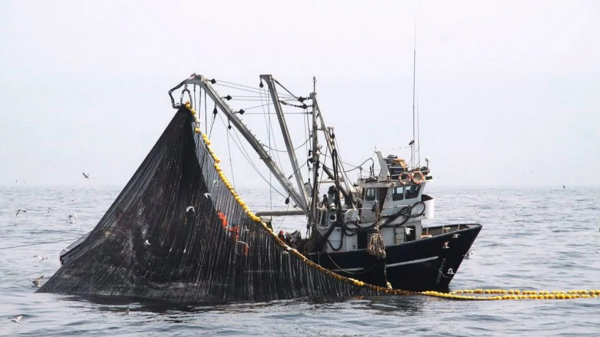 Pesca-ilegal-peru-Andina.webp