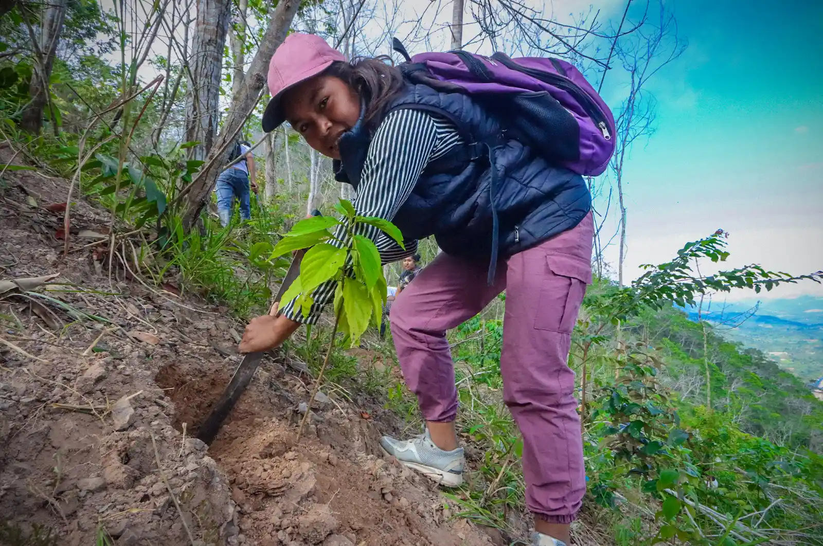 Satipo: Siembran 300 plantas en el cerro Satélite