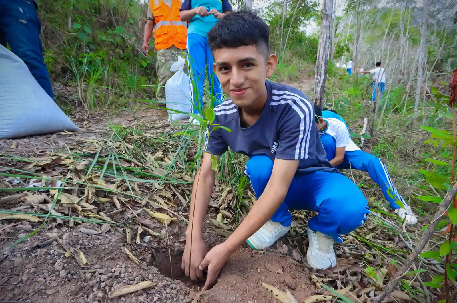 Satipo: Siembran 300 plantas en el cerro Satélite