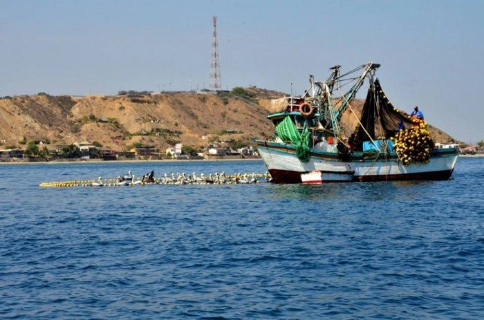 XIX-PERU-CONTRA-LA-PESCA-ILEGAL--Desafios-y-avances-hacia-la-sostenibilidad-marina.webp