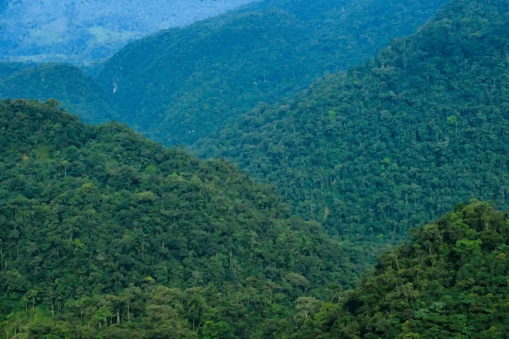 César Navarro, aprender de todo para que la gente pueda vivir en armonía con la naturaleza