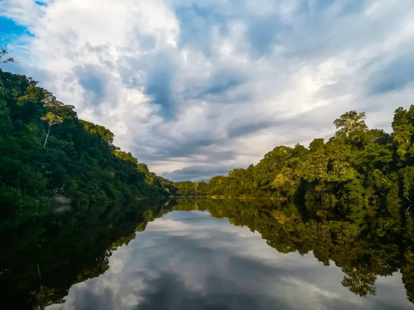Reserva Nacional Matsés obtiene certificación internacional por excelencia en conservación