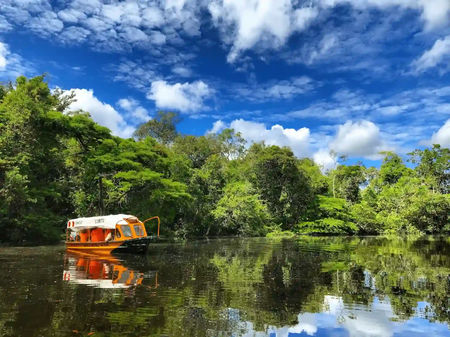 Reserva Nacional Matsés obtiene certificación internacional por excelencia en conservación