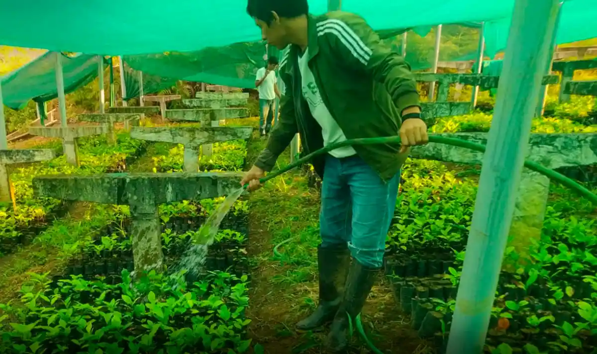 Implementan iniciativas para fortalecer el agro en la región Huánuco