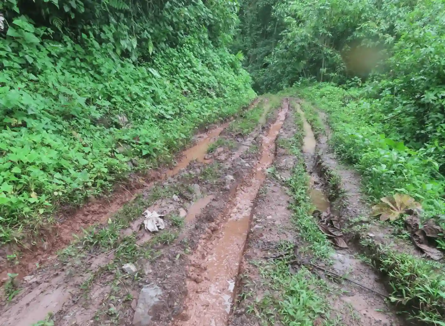 Organizaciones indígenas demandan mesa de diálogo con el Gobierno Regional de Pasco