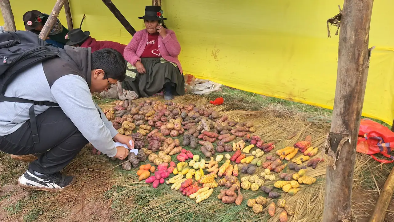 Huánuco: Muru Raymi destaca la agrodiversidad y labor campesina