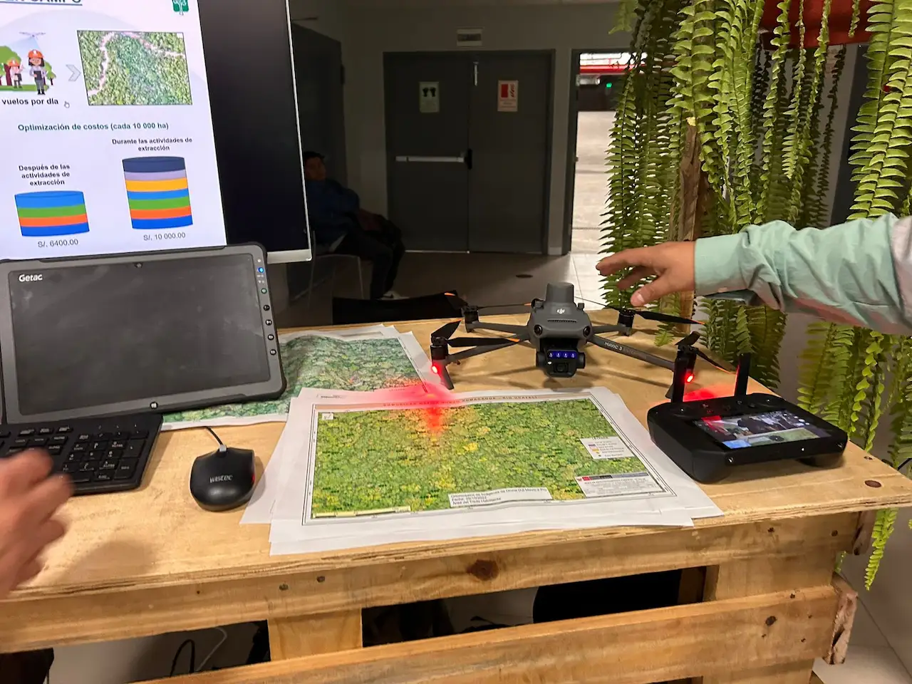 Osinfor supervisará más de 900 000 hectáreas de bosque este año